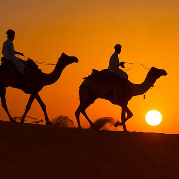 Abu Dhabi Tickets - Liwa Desert Safari