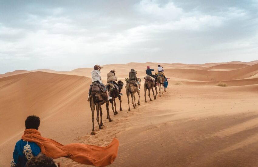 Extreme Tourism LLC - Book Al Ain Camel Trekking
