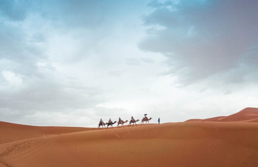 Extreme Tourism LLC - Book Camel Trekking Ras Al Khaimah