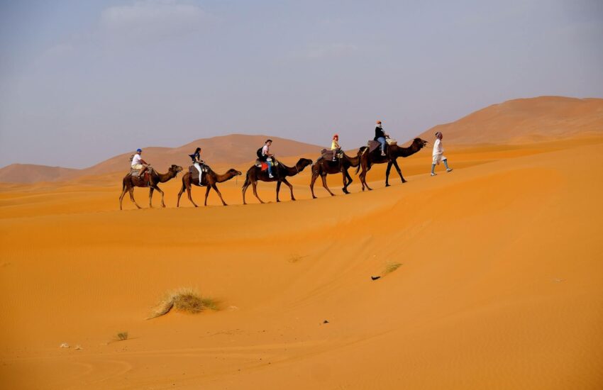Extreme Tourism LLC - Book Dubai Camel Trekking