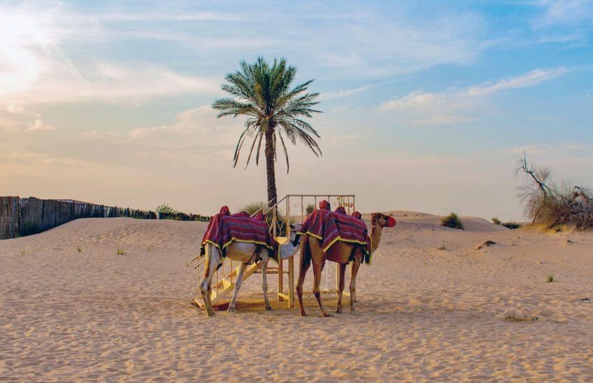 Extreme Tourism LLC - Book Morning Desert Safari Abu Dhabi