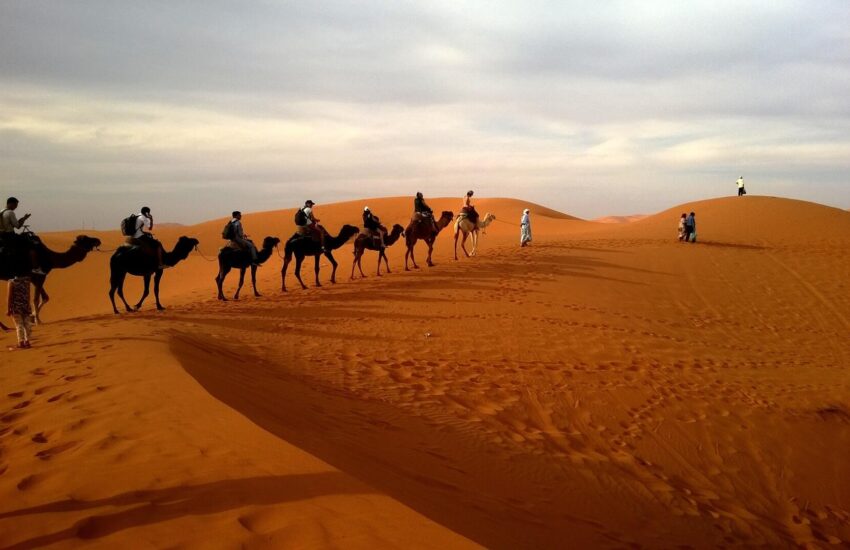 Extreme Tourism LLC - Book Sharjah Camel Trekking