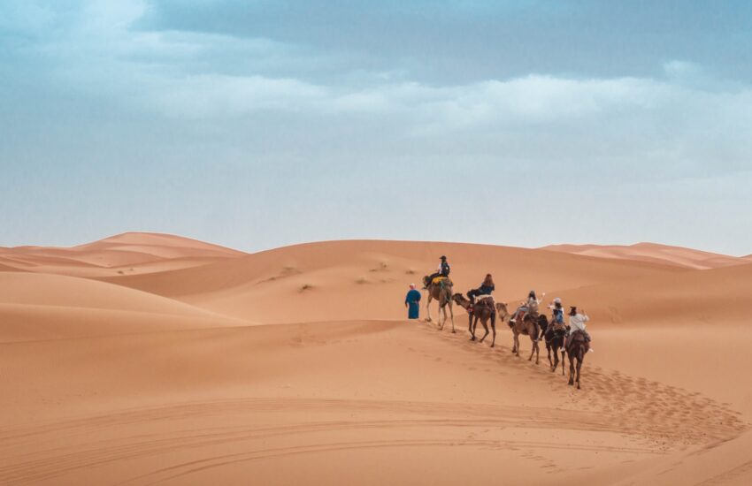 Extreme Tourism LLC - Book Camel Safari Abu Dhabi